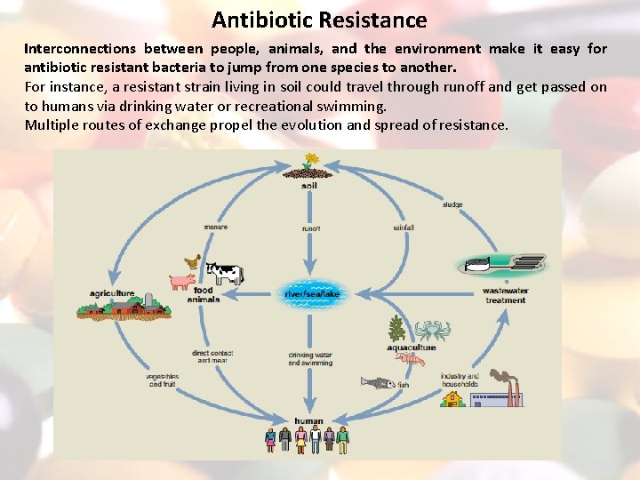 Antibiotic Resistance Interconnections between people, animals, and the environment make it easy for antibiotic Antibiotic Resistance Interconnections between people, animals, and the environment make it easy for antibiotic