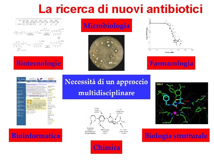 La ricerca di nuovi antibiotici La ricerca di nuovi antibiotici