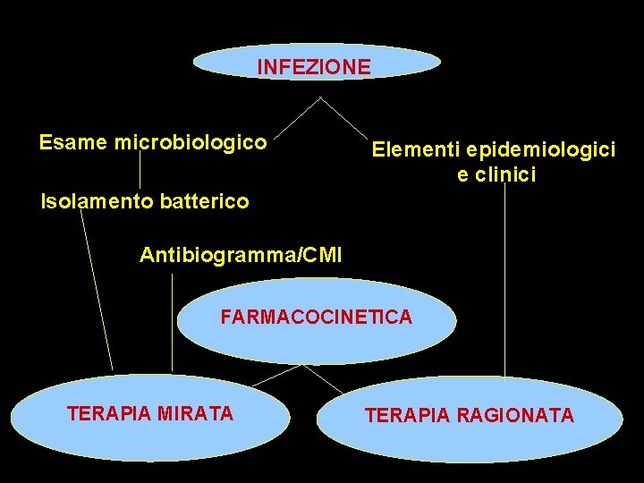 INFEZIONE Esame microbiologico Elementi epidemiologici e clinici Isolamento batterico Antibiogramma/CMI FARMACOCINETICA TERAPIA MIRATA TERAPIA INFEZIONE Esame microbiologico Elementi epidemiologici e clinici Isolamento batterico Antibiogramma/CMI FARMACOCINETICA TERAPIA MIRATA TERAPIA