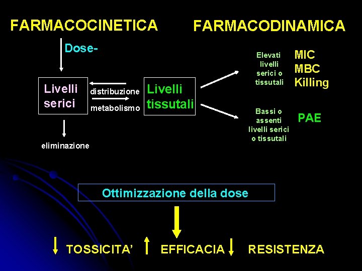 FARMACOCINETICA FARMACODINAMICA Dose- Elevati livelli serici o tissutali assorbimento Livelli serici distribuzione metabolismo Livelli FARMACOCINETICA FARMACODINAMICA Dose- Elevati livelli serici o tissutali assorbimento Livelli serici distribuzione metabolismo Livelli