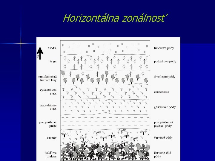 Horizontálna zonálnosť 