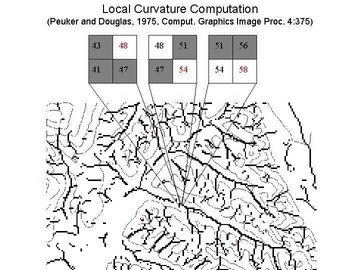 Local Curvature Computation (Peuker and Douglas, 1975, Comput. Graphics Image Proc. 4: 375) 43