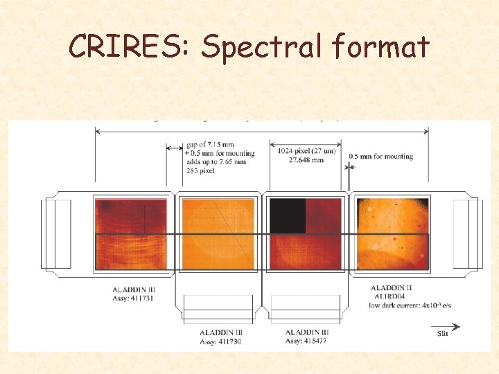 CRIRES: Spectral format 