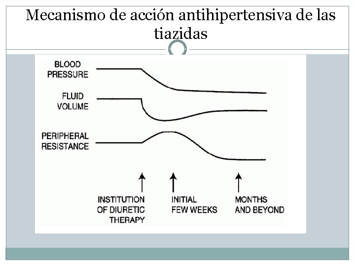 Mecanismo de acción antihipertensiva de las tiazidas 