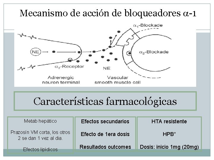 Mecanismo de acción de bloqueadores -1 Características farmacológicas Metab hepático Efectos secundarios HTA resistente