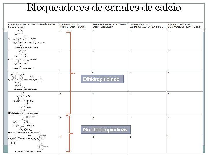 Bloqueadores de canales de calcio Dihidropiridinas No-Dihidropiridinas 