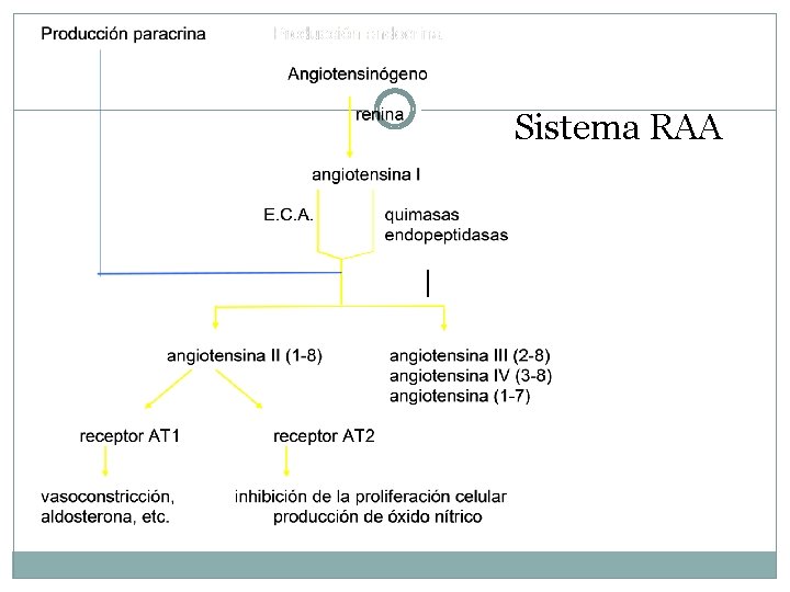 Sistema RAA 