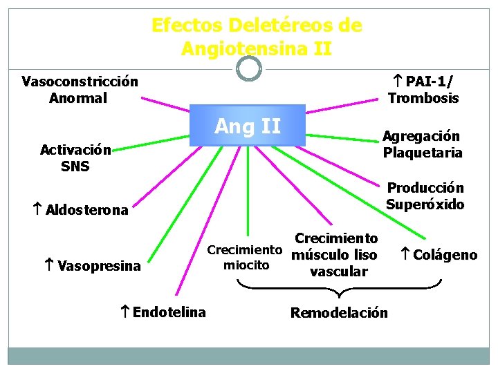 Efectos Deletéreos de Angiotensina II PAI-1/ Trombosis Vasoconstricción Anormal Ang II Agregación Plaquetaria Activación