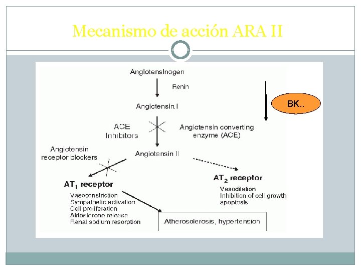Mecanismo de acción ARA II BK. . 