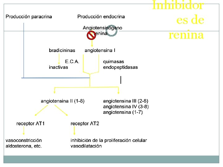 Inhibidor es de renina 