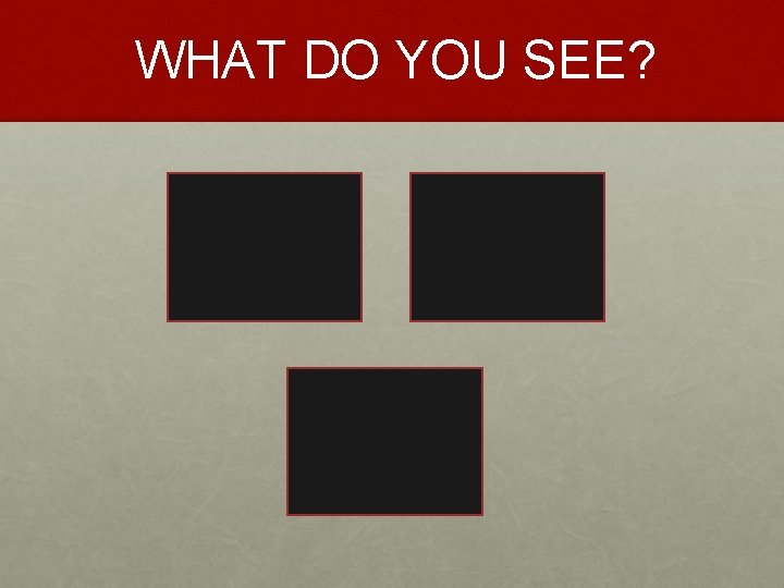 WHAT DO YOU SEE? 