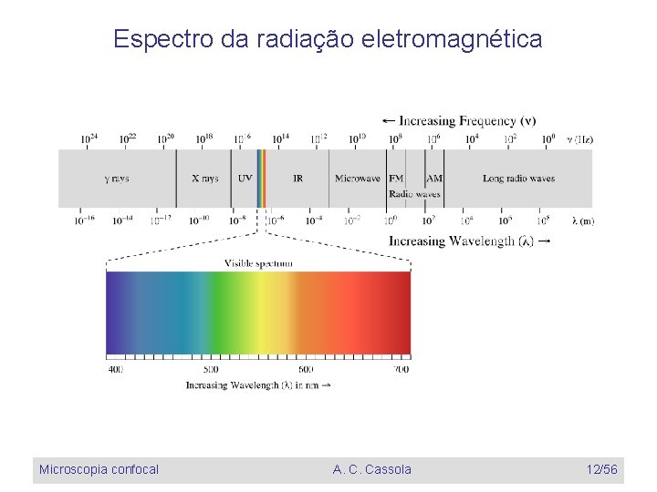 Espectro da radiação eletromagnética Microscopia confocal A. C. Cassola 12/56 