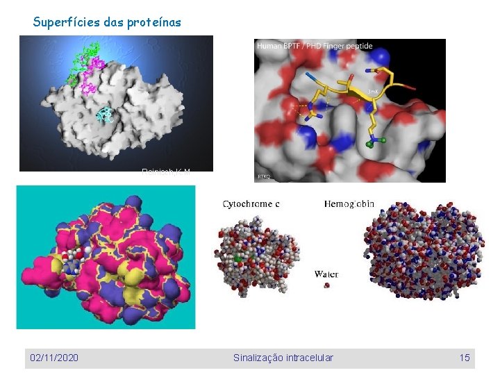 Superfícies das proteínas Reinisch, K. M 02/11/2020 Sinalização intracelular 15 