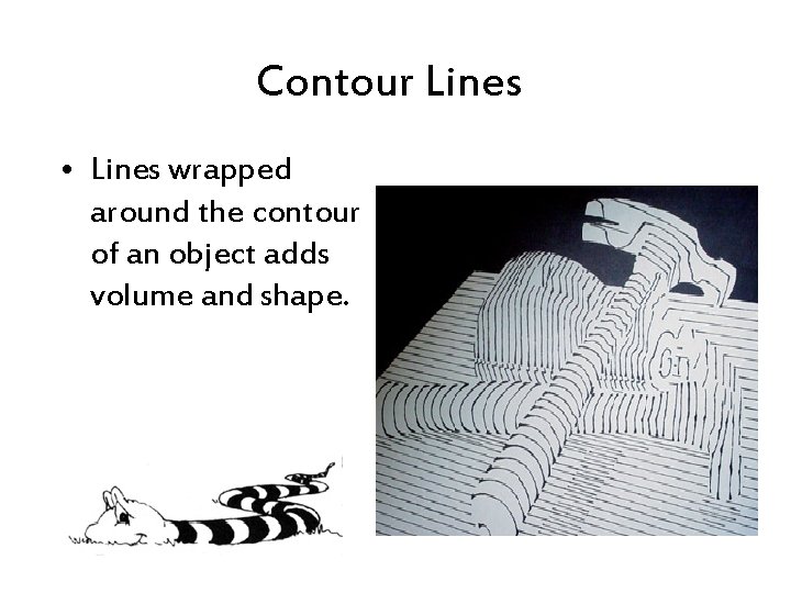 Contour Lines • Lines wrapped around the contour of an object adds volume and