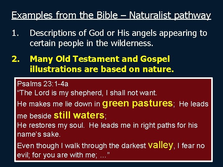 Examples from the Bible – Naturalist pathway 1. Descriptions of God or His angels