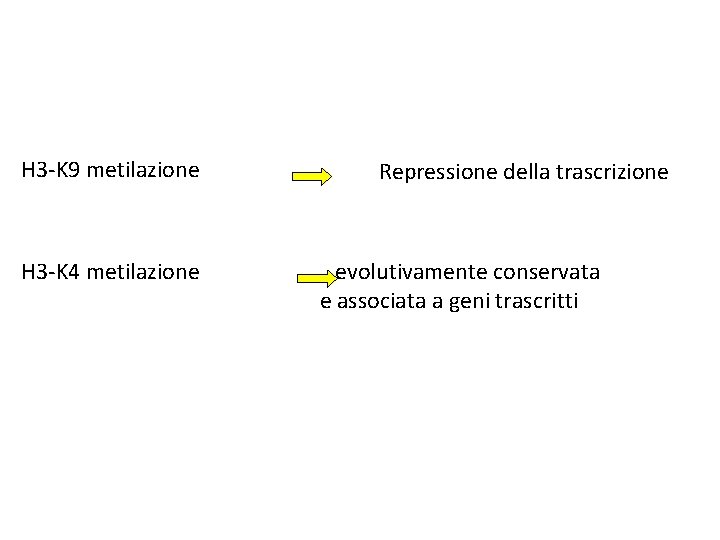 H 3 -K 9 metilazione H 3 -K 4 metilazione Repressione della trascrizione evolutivamente