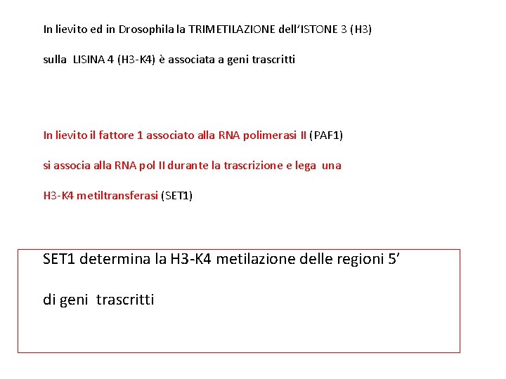 In lievito ed in Drosophila la TRIMETILAZIONE dell’ISTONE 3 (H 3) sulla LISINA 4