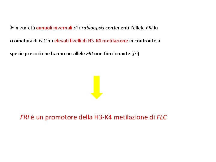 ØIn varietà annuali invernali di arabidopsis contenenti l’allele FRI la cromatina di FLC ha