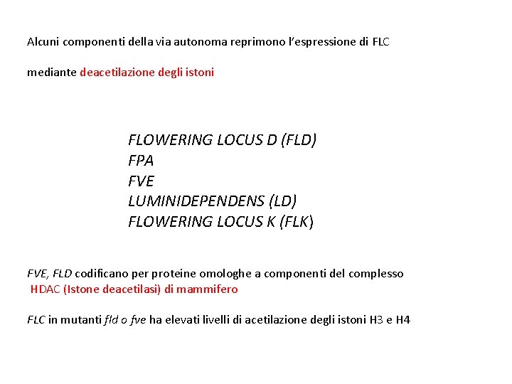 Alcuni componenti della via autonoma reprimono l’espressione di FLC mediante deacetilazione degli istoni FLOWERING