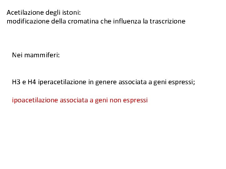 Acetilazione degli istoni: modificazione della cromatina che influenza la trascrizione Nei mammiferi: H 3