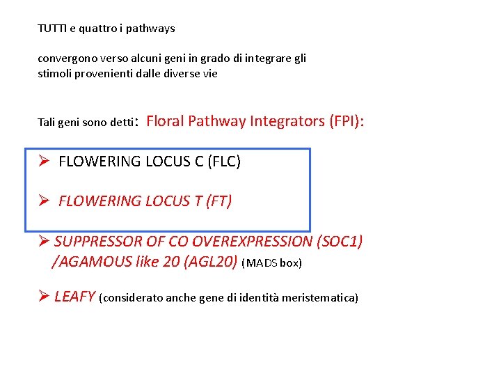 TUTTI e quattro i pathways convergono verso alcuni geni in grado di integrare gli