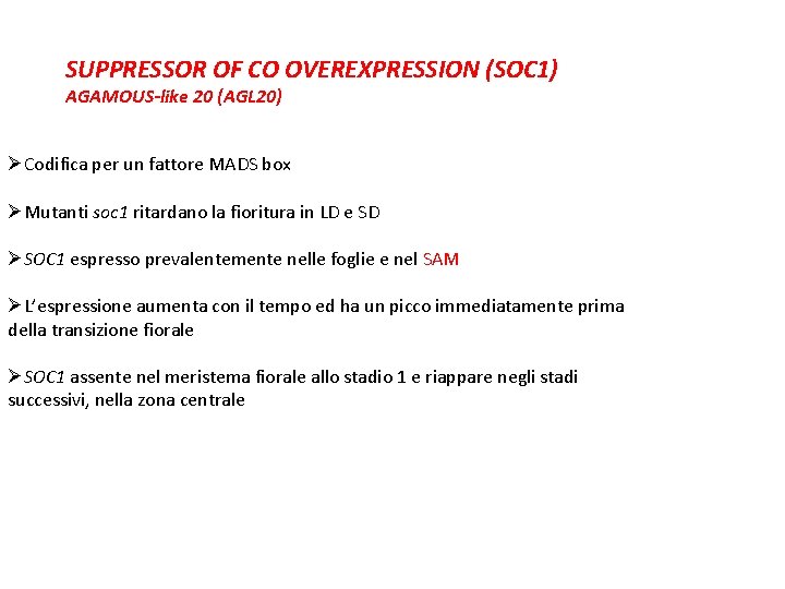 SUPPRESSOR OF CO OVEREXPRESSION (SOC 1) AGAMOUS-like 20 (AGL 20) ØCodifica per un fattore