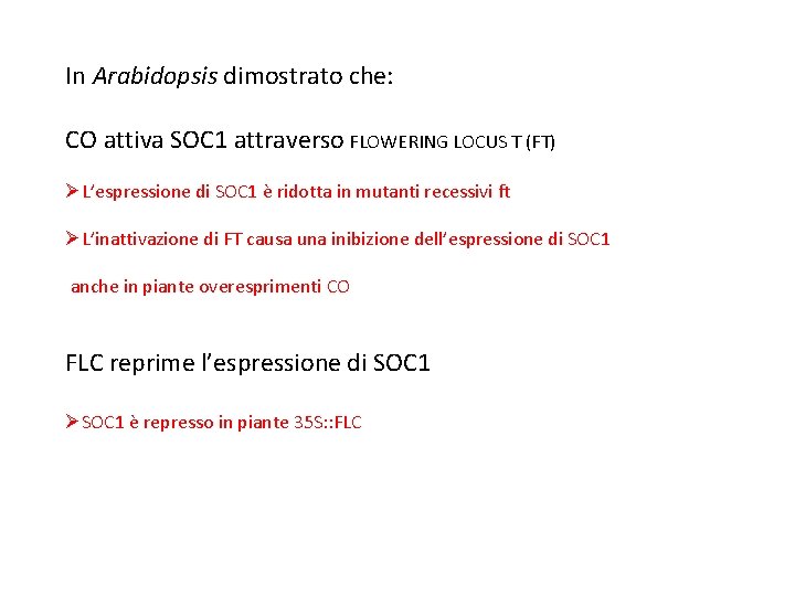 In Arabidopsis dimostrato che: CO attiva SOC 1 attraverso FLOWERING LOCUS T (FT) ØL’espressione