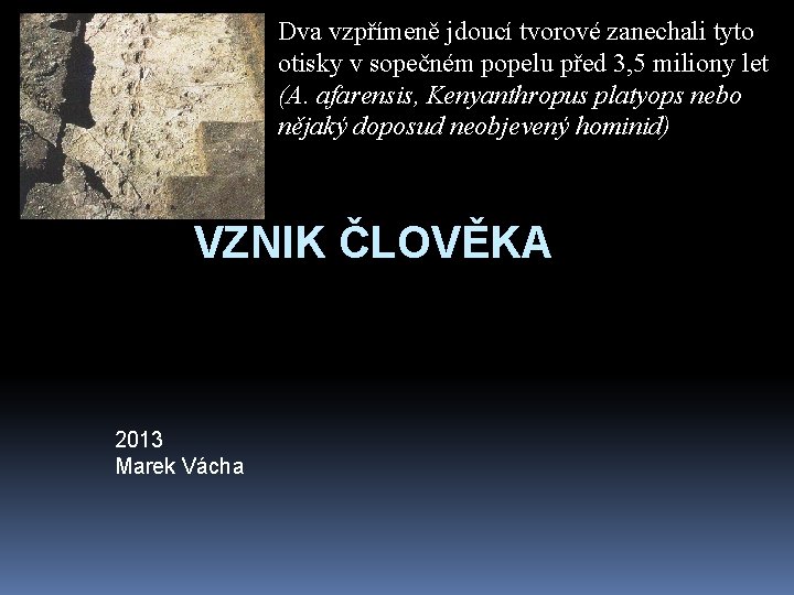 Dva vzpřímeně jdoucí tvorové zanechali tyto otisky v sopečném popelu před 3, 5 miliony