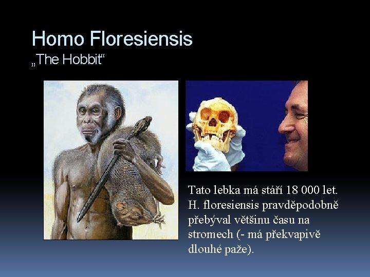 Homo Floresiensis „The Hobbit“ Tato lebka má stáří 18 000 let. H. floresiensis pravděpodobně