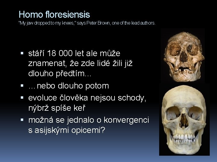 Homo floresiensis "My jaw dropped to my knees, " says Peter Brown, one of