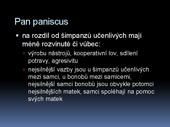 Pan paniscus na rozdíl od šimpanzů učenlivých mají méně rozvinuté či vůbec: výrobu nástrojů,