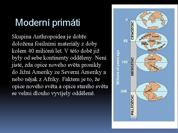 Moderní primáti Skupina Anthropoidea je dobře doložena fosilními materiály z doby kolem 40 miliónů