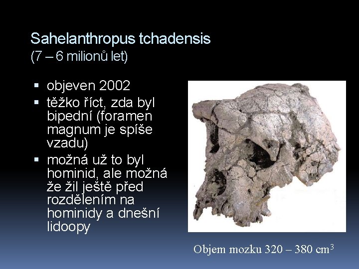 Sahelanthropus tchadensis (7 – 6 milionů let) objeven 2002 těžko říct, zda byl bipední