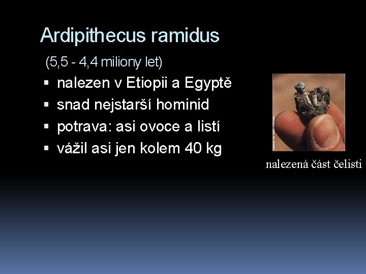 Ardipithecus ramidus (5, 5 - 4, 4 miliony let) nalezen v Etiopii a Egyptě