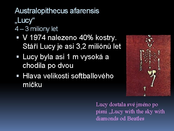 Australopithecus afarensis „Lucy“ 4 – 3 miliony let V 1974 nalezeno 40% kostry. Stáří