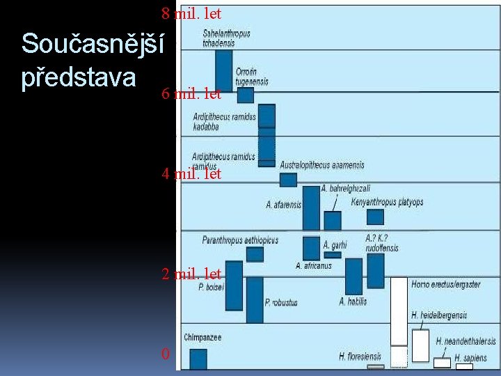 8 mil. let Současnější představa 6 mil. let 4 mil. let 2 mil. let