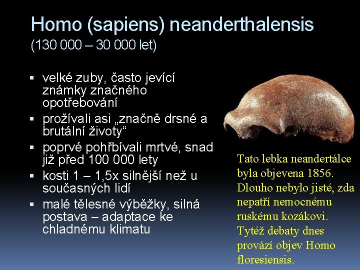 Homo (sapiens) neanderthalensis (130 000 – 30 000 let) velké zuby, často jevící známky