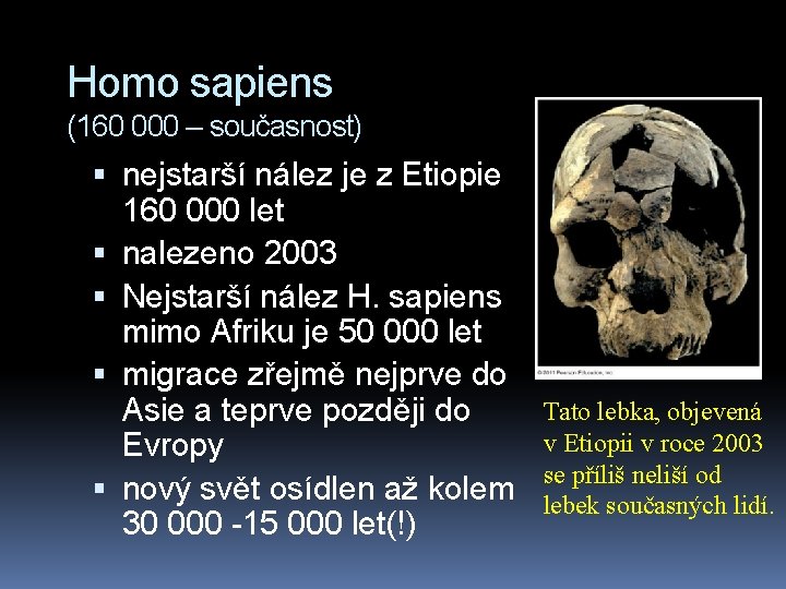 Homo sapiens (160 000 – současnost) nejstarší nález je z Etiopie 160 000 let