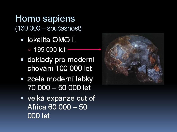 Homo sapiens (160 000 – současnost) lokalita OMO I. 195 000 let doklady pro