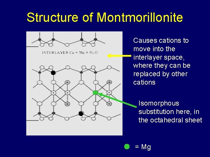 Structure of Montmorillonite Causes cations to move into the interlayer space, where they can