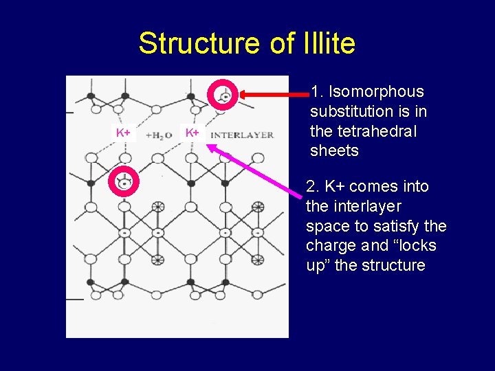 Structure of Illite K+ K+ 1. Isomorphous substitution is in the tetrahedral sheets 2.