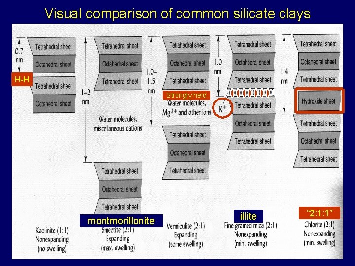 Visual comparison of common silicate clays H-H Strongly held montmorillonite illite “ 2: 1: