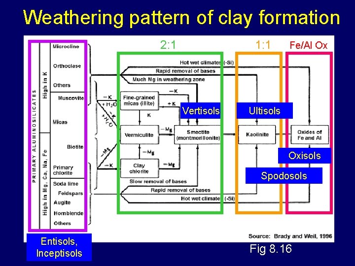 Weathering pattern of clay formation 2: 1 1: 1 Vertisols Fe/Al Ox Ultisols Oxisols