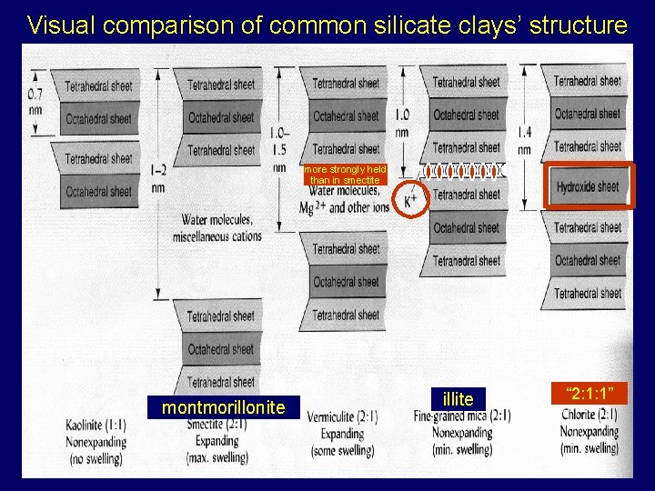 Visual comparison of common silicate clays’ structure more strongly held than in smectite montmorillonite