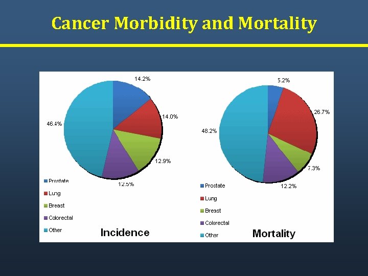 Cancer Morbidity and Mortality Cancer Morbidity and Mortality