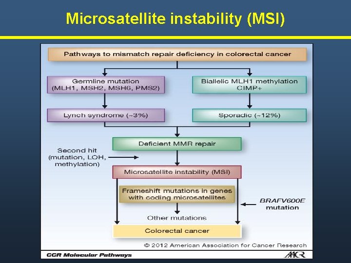 Microsatellite instability (MSI) Microsatellite instability (MSI)