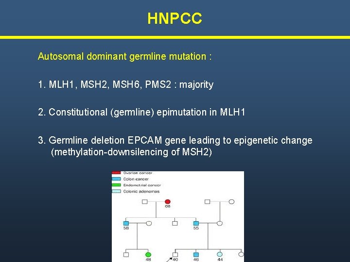 HNPCC Autosomal dominant germline mutation : 1. MLH 1, MSH 2, MSH 6, PMS HNPCC Autosomal dominant germline mutation : 1. MLH 1, MSH 2, MSH 6, PMS