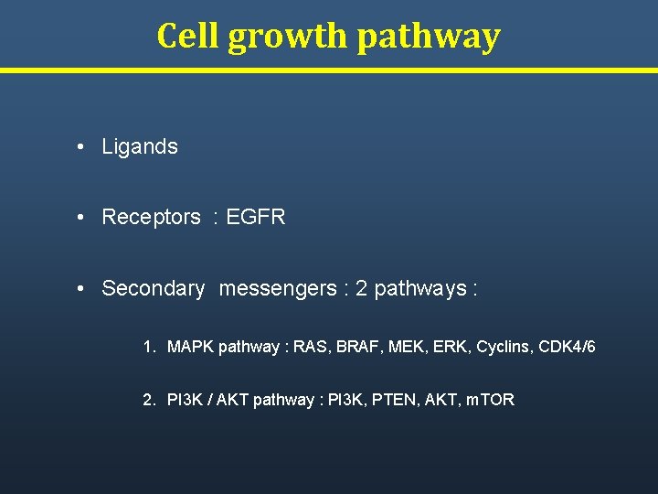 Cell growth pathway • Ligands • Receptors : EGFR • Secondary messengers : 2 Cell growth pathway • Ligands • Receptors : EGFR • Secondary messengers : 2