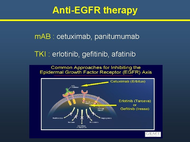 Anti-EGFR therapy m. AB : cetuximab, panitumumab TKI : erlotinib, gefitinib, afatinib Anti-EGFR therapy m. AB : cetuximab, panitumumab TKI : erlotinib, gefitinib, afatinib
