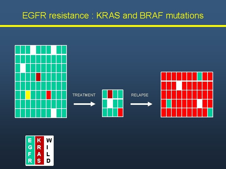 EGFR resistance : KRAS and BRAF mutations TREATMENT E G F R K R EGFR resistance : KRAS and BRAF mutations TREATMENT E G F R K R